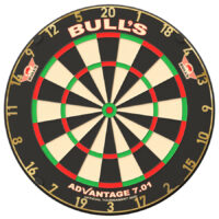 Advantage 701 Dartbord