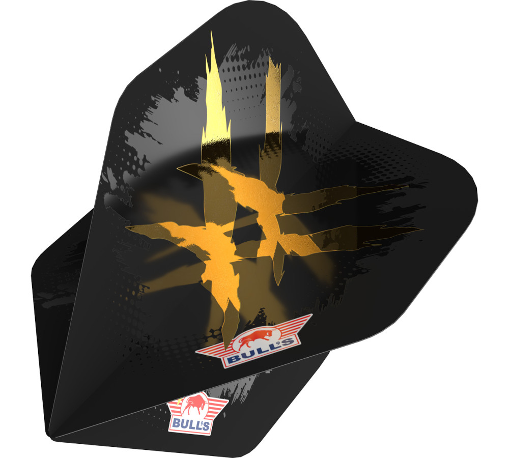 Richard Veenstra 90 E2 Flight uitgevouwen