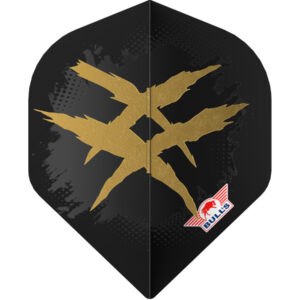 Richard Veenstra 90 E2 Flight