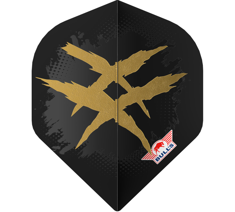 Richard Veenstra 90 E2 Flight