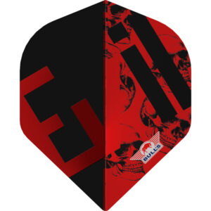 Karel Sedláček 90 E2 Flight