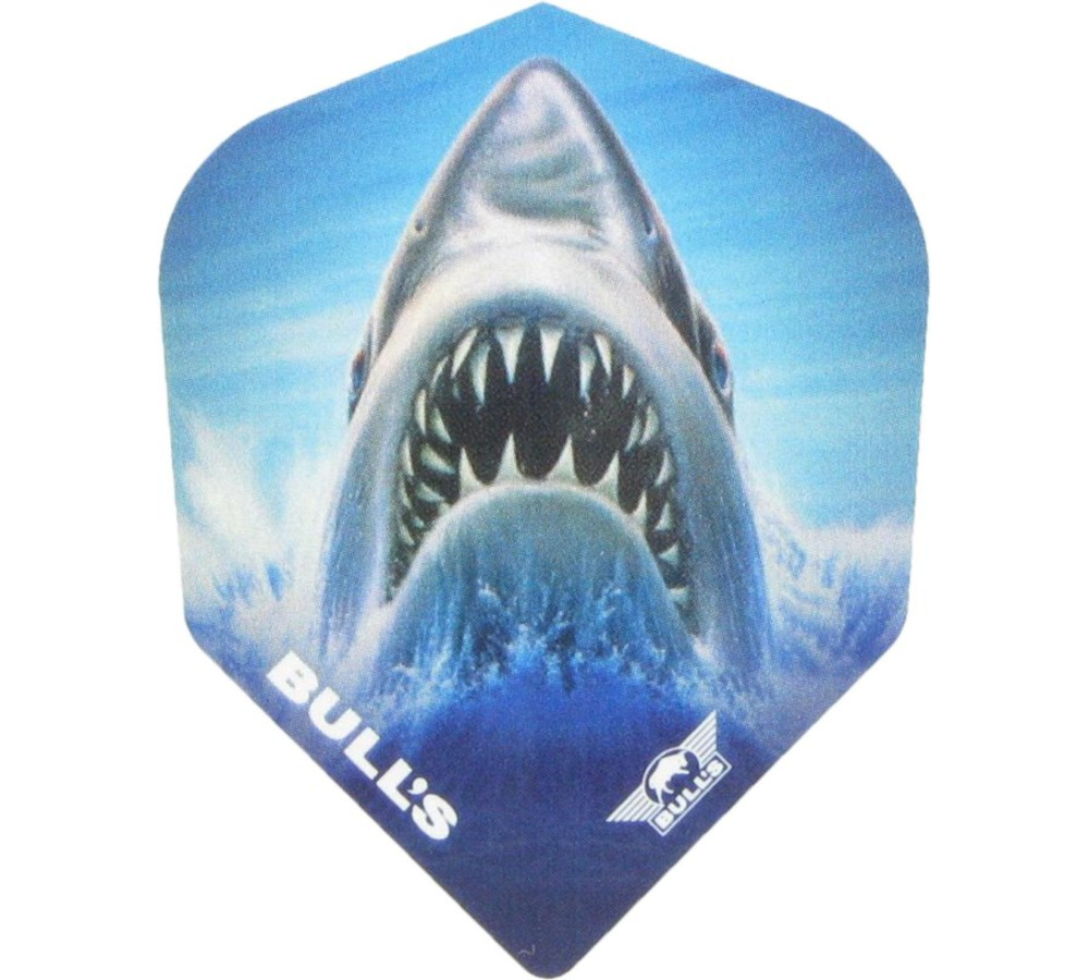 Animals 100 Shark Flight