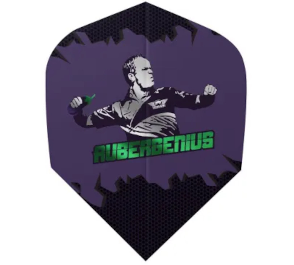 Dirk van Duijvenbode Aubergenius Flight