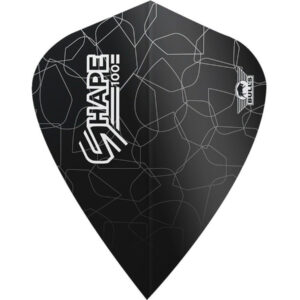 Shape Black Kite Flight